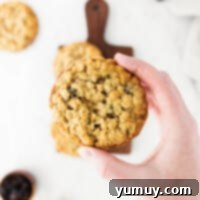 Golden Oat Raisin Delights 4 A hand holding an oatmeal raisin cookie, highlighting its golden-brown exterior and soft interior.