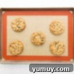 Golden Oat Raisin Delights 8 A tray of freshly baked oatmeal raisin cookies, golden and slightly puffed, cooling on a baking sheet.