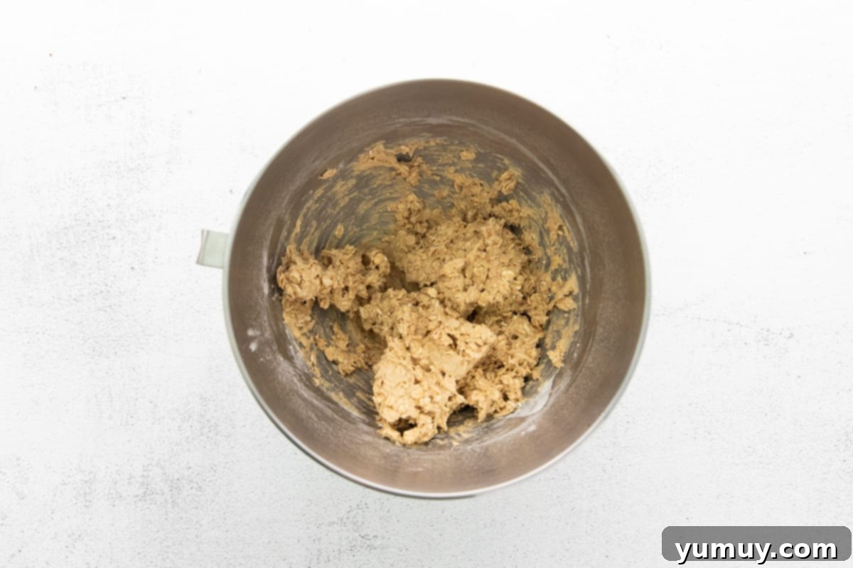 Golden Oat Raisin Delights 10 Fluffy cookie dough in a stainless steel mixing bowl, resting on a clean white background, ready for the next step.