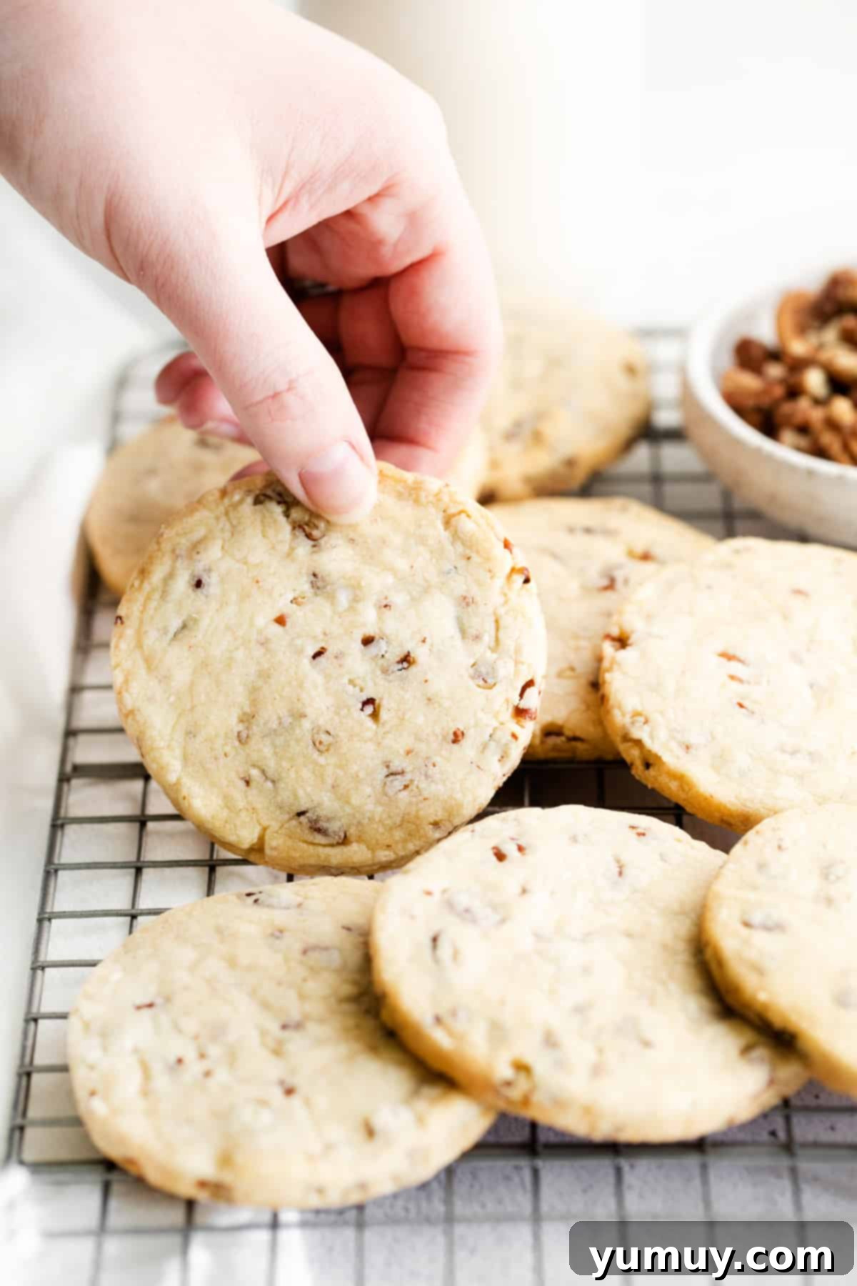 Melt-in-Your-Mouth Pecan Shortbread 2 a hand holding a pecan shortbread cookie upright to show the top, next to a pile of cookies on a wire rack.