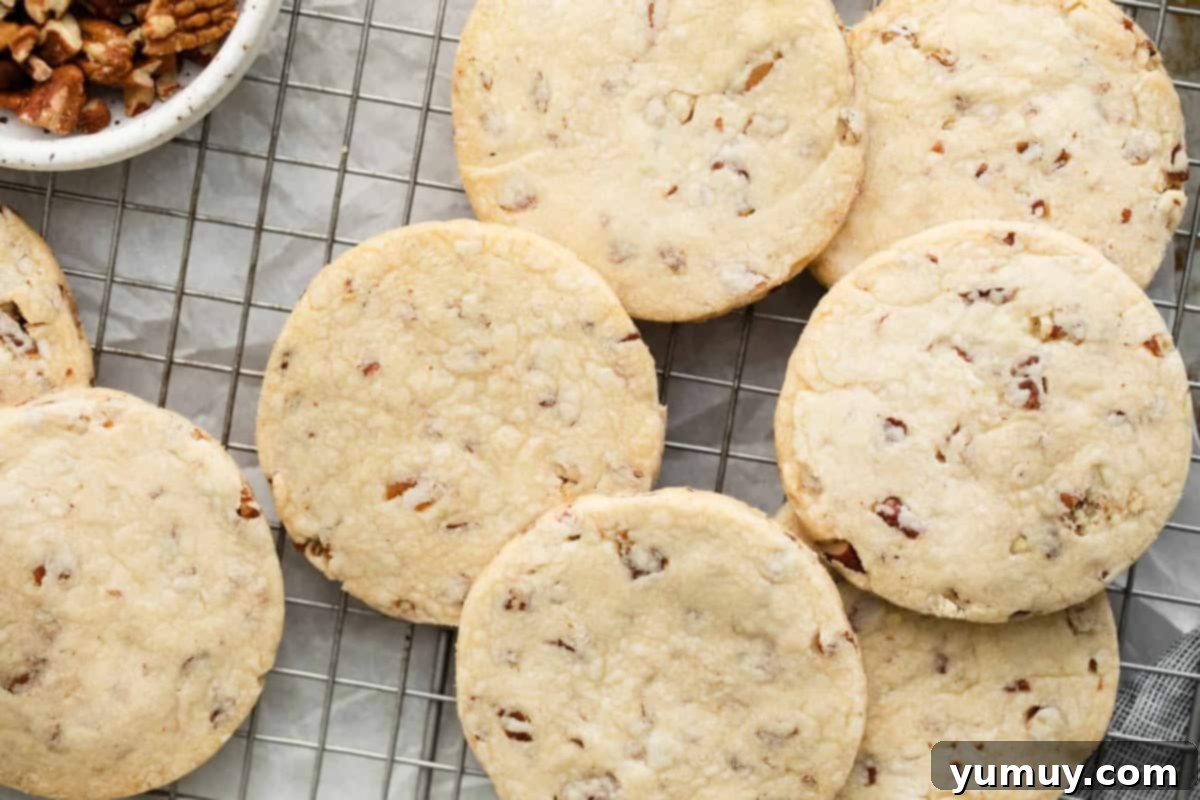 Melt-in-Your-Mouth Pecan Shortbread 3 overhead view of freshly baked pecan shortbread cookies on a wire rack.