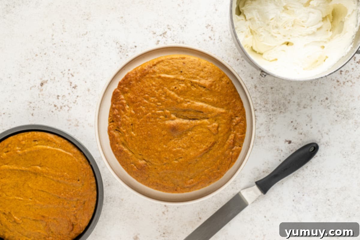 Irresistible Pumpkin Cake with Zesty Cream Cheese Frosting 18 round pumpkin cake layer on a cake stand