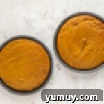 Irresistible Pumpkin Cake with Zesty Cream Cheese Frosting 7 two pumpkin cakes in round cake pans