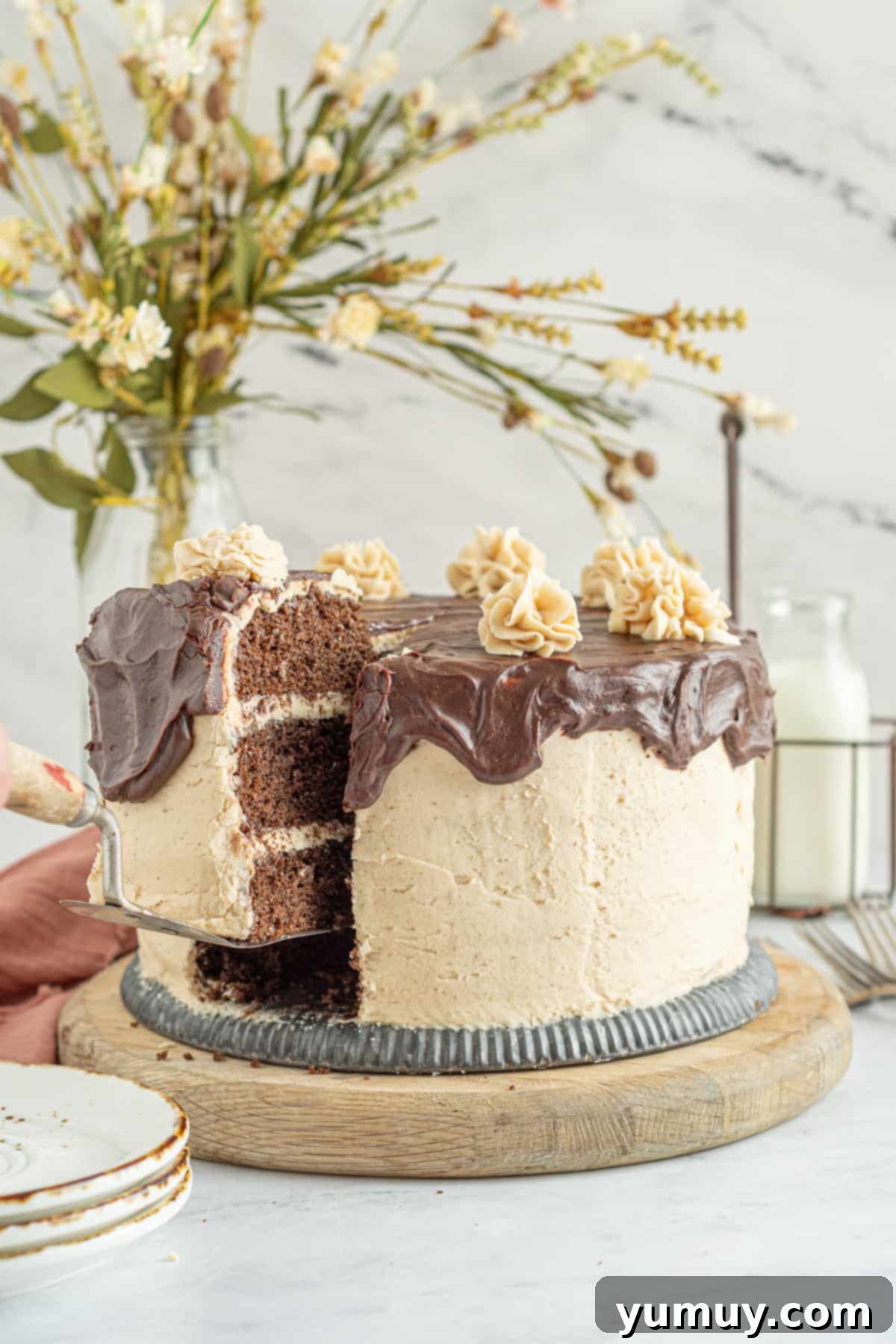 A perfectly sliced chocolate peanut butter cake, showcasing its rich layers and creamy frosting.