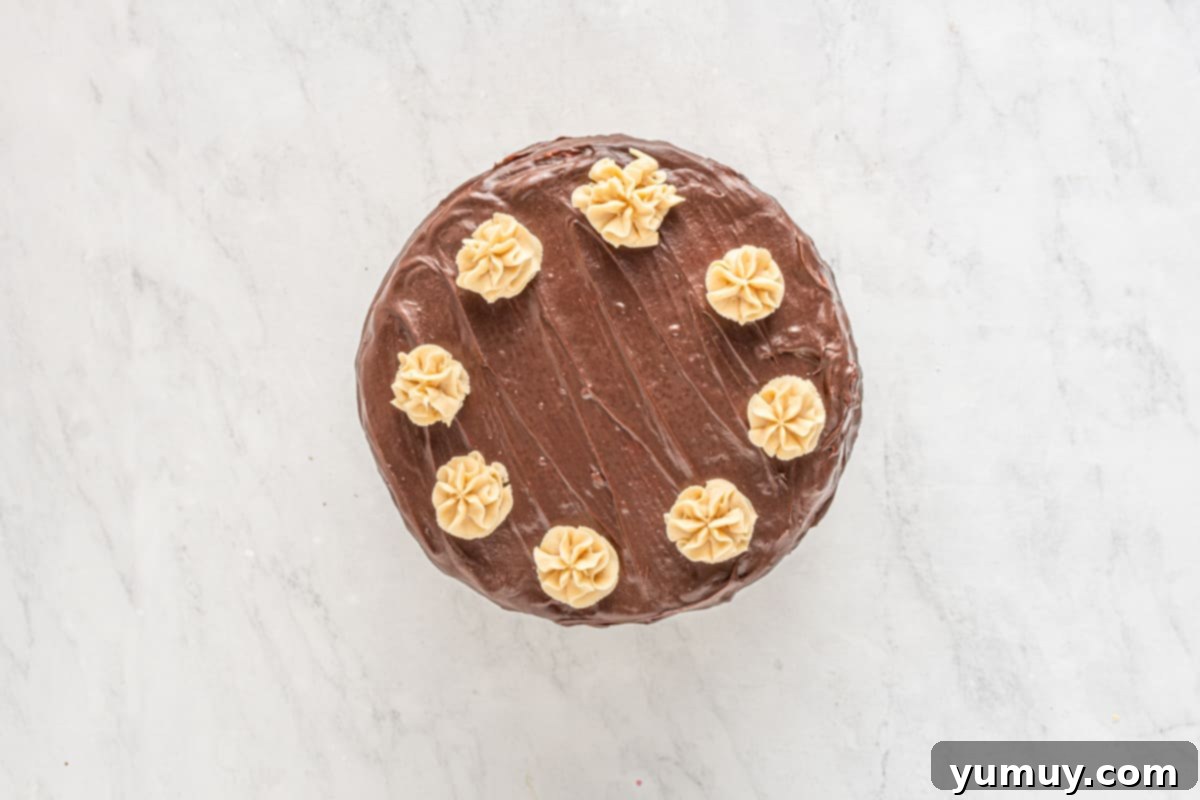 An overhead shot of a beautifully frosted chocolate peanut butter cake, ready for serving.