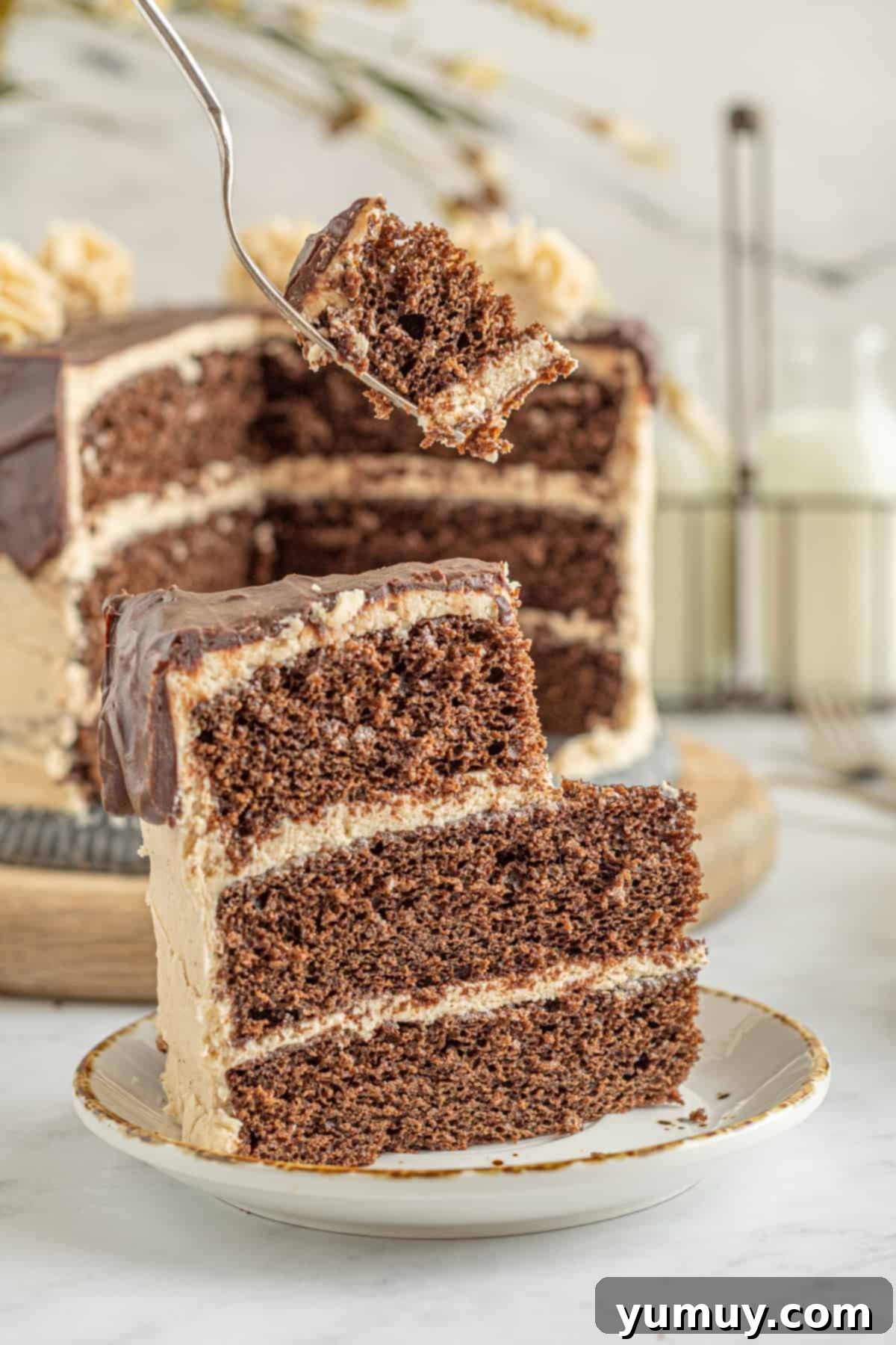 A close-up of a slice of chocolate peanut butter cake, highlighting its moist texture and thick frosting.