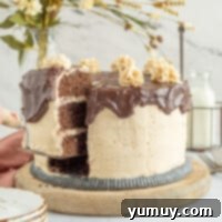 chocolate peanut butter cake