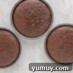 Three round chocolate cakes cooling