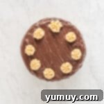 Overhead view of a frosted chocolate peanut butter cake