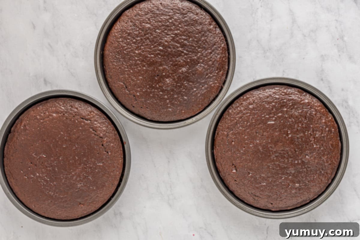 Three golden-brown round chocolate cakes cooling on a wire rack.
