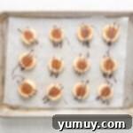 Caramel Chocolate Shortbread Cookies 11 Twelve Twix cookies on a baking sheet, each filled with caramel and topped with a decorative chocolate drizzle.