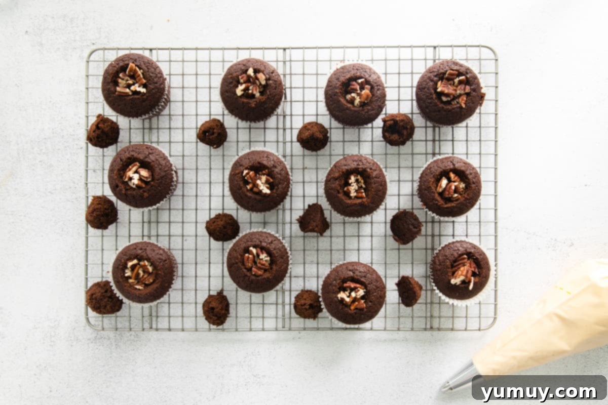 12 cored chocolate cupcakes with pecans stuffed in the middle.