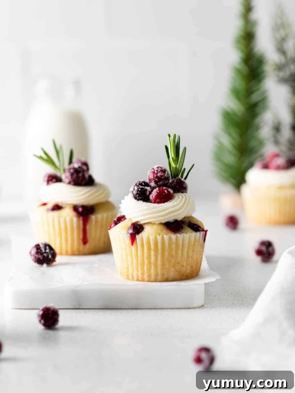 Tangy Cranberry Delights 2 Front view of sugared cranberry cupcakes set on a marble platter, topped with a buttercream frosting swirl and sparkling sugared cranberries.