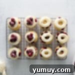 Tangy Cranberry Delights 13 Overhead view of frosted cranberry cupcakes adorned with sugared cranberries on a cooling rack.
