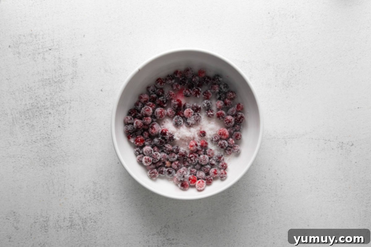 Tangy Cranberry Delights 17 A bowl filled with perfectly sugared cranberries, sparkling brightly.
