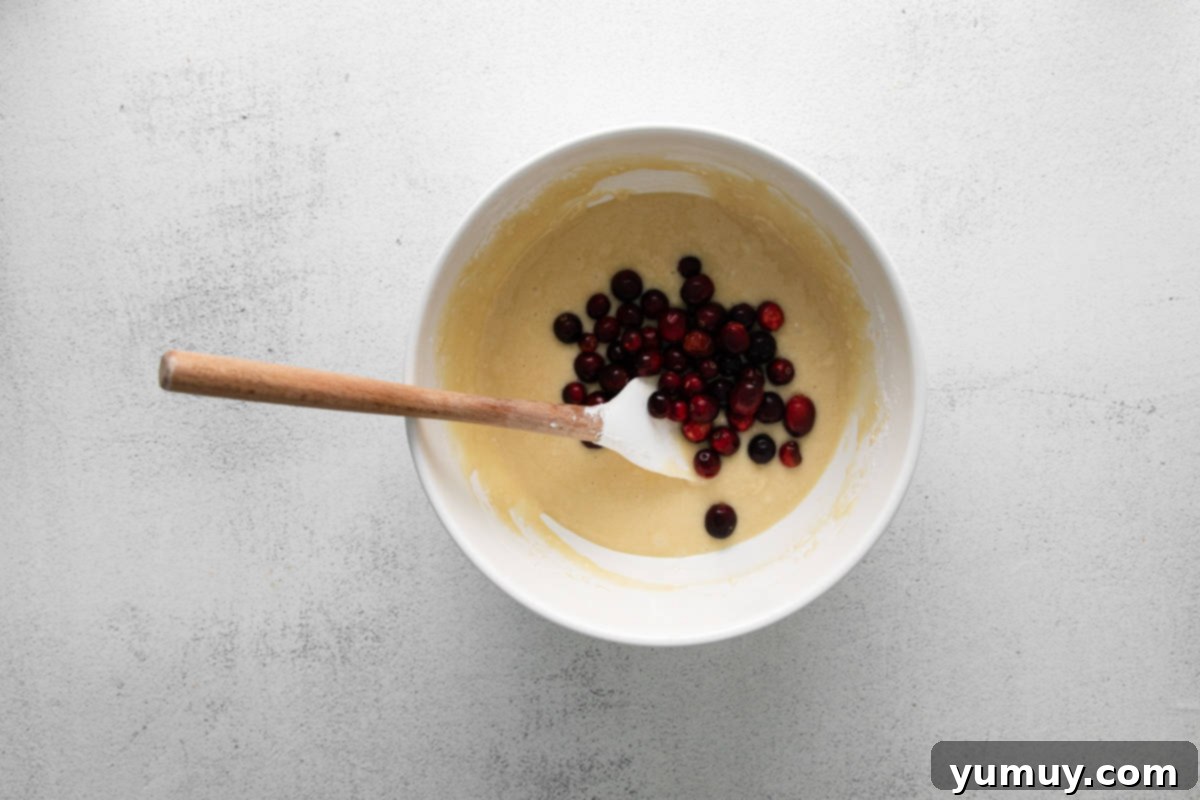 Tangy Cranberry Delights 19 Hands gently folding fresh cranberries into the prepared cupcake batter.