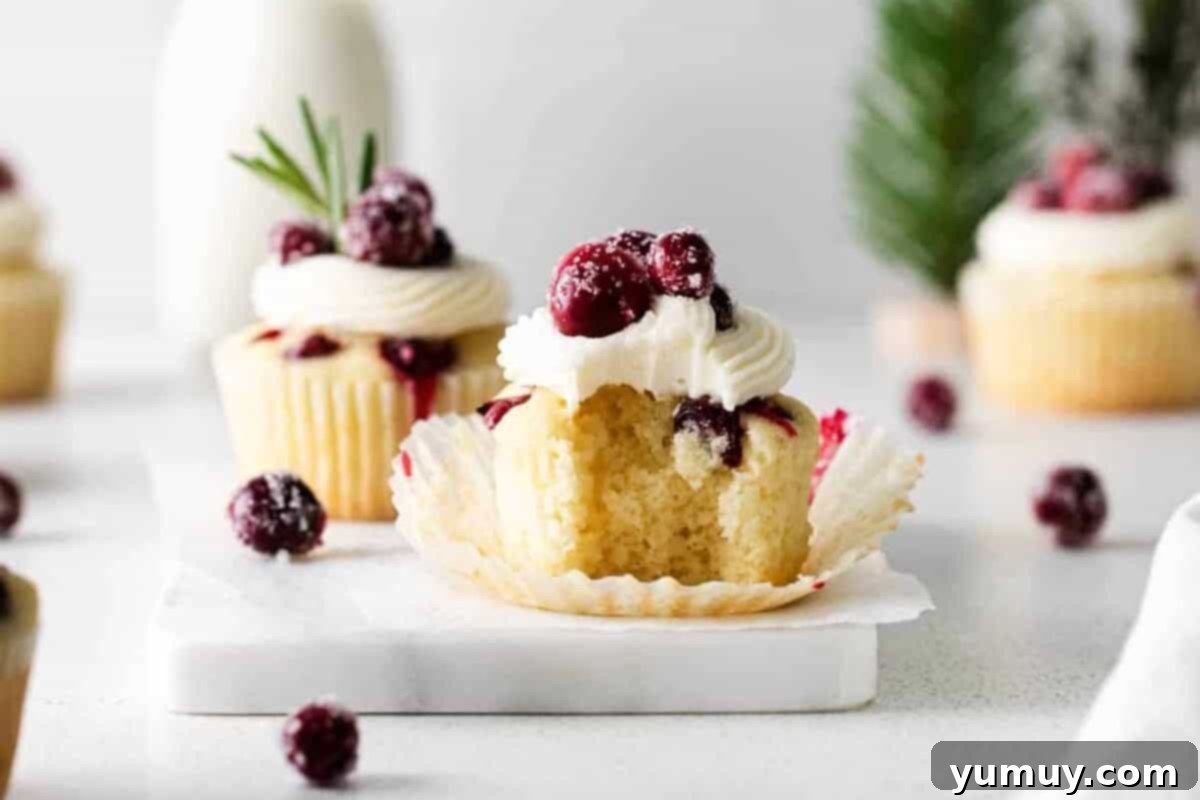 Tangy Cranberry Delights 3 Side view of an unwrapped and bitten cranberry cupcake on a marble cake board, showcasing its moist texture and cranberry filling.