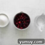 Tangy Cranberry Delights 5 Sugared cranberry ingredients simmering in a saucepan.