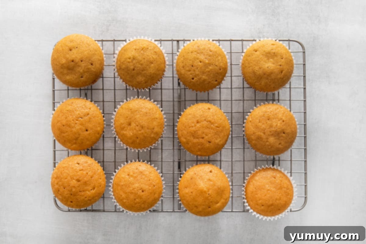 Freshly baked, unfrosted pumpkin pie cupcakes cooling on a wire rack.