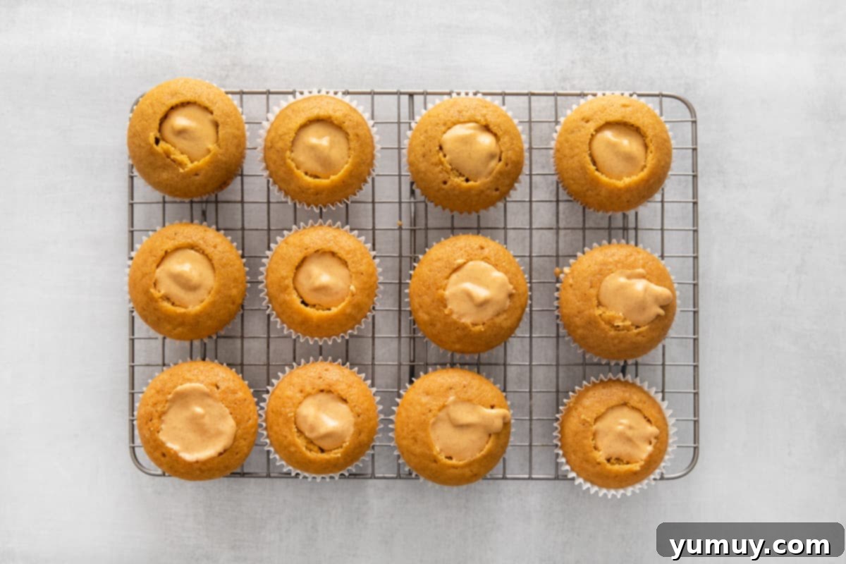 Overhead view of several baked pumpkin pie cupcakes, showcasing the meticulously cored centers filled with creamy pumpkin goodness.