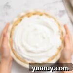 Golden Butterscotch Delight 14 A freshly baked butterscotch pie, beautifully topped with golden-brown meringue peaks.