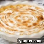 Golden Butterscotch Delight 15 A fully baked butterscotch pie, cooled and set, with its meringue topping.