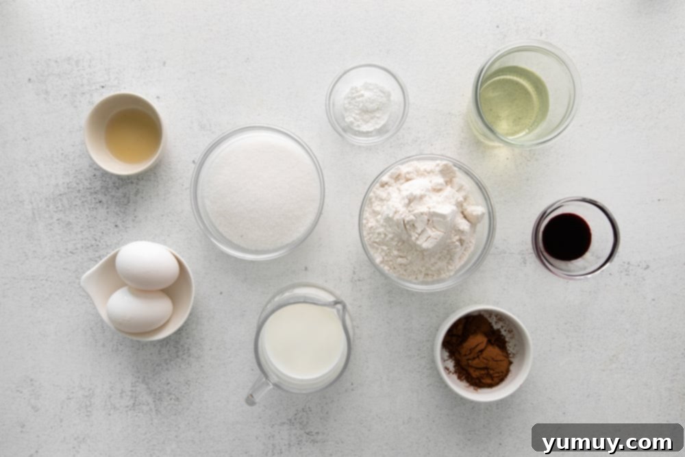 Indulgent Homemade Red Velvet Cupcakes 13 the ingredients for a chocolate cake are shown on a white background.