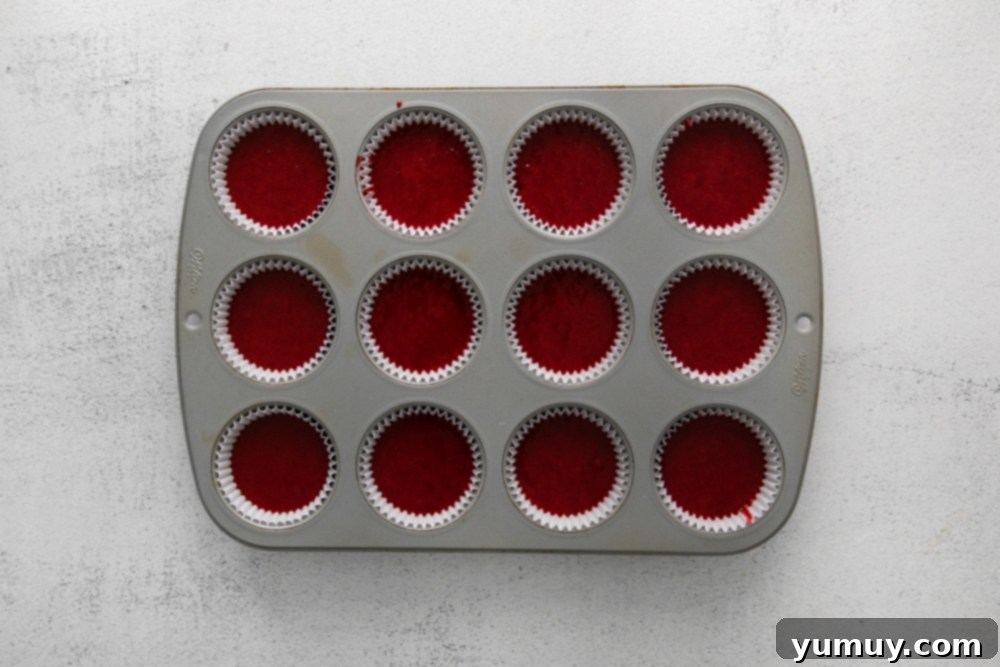 Indulgent Homemade Red Velvet Cupcakes 16 cupcake tin filled with batter