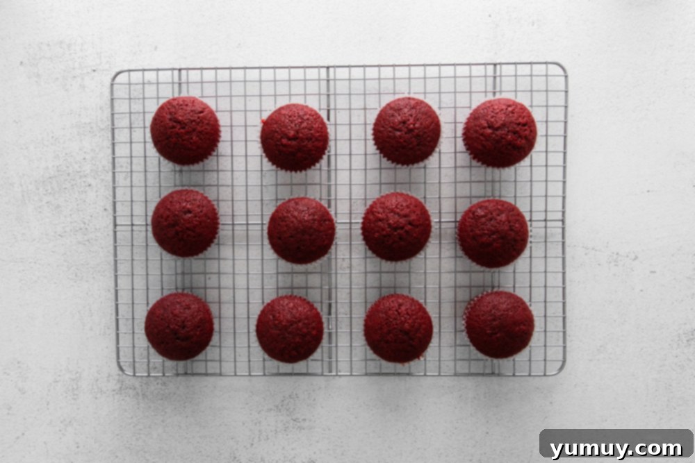 Indulgent Homemade Red Velvet Cupcakes 17 red velvet cupcakes lined up on a cooling rack