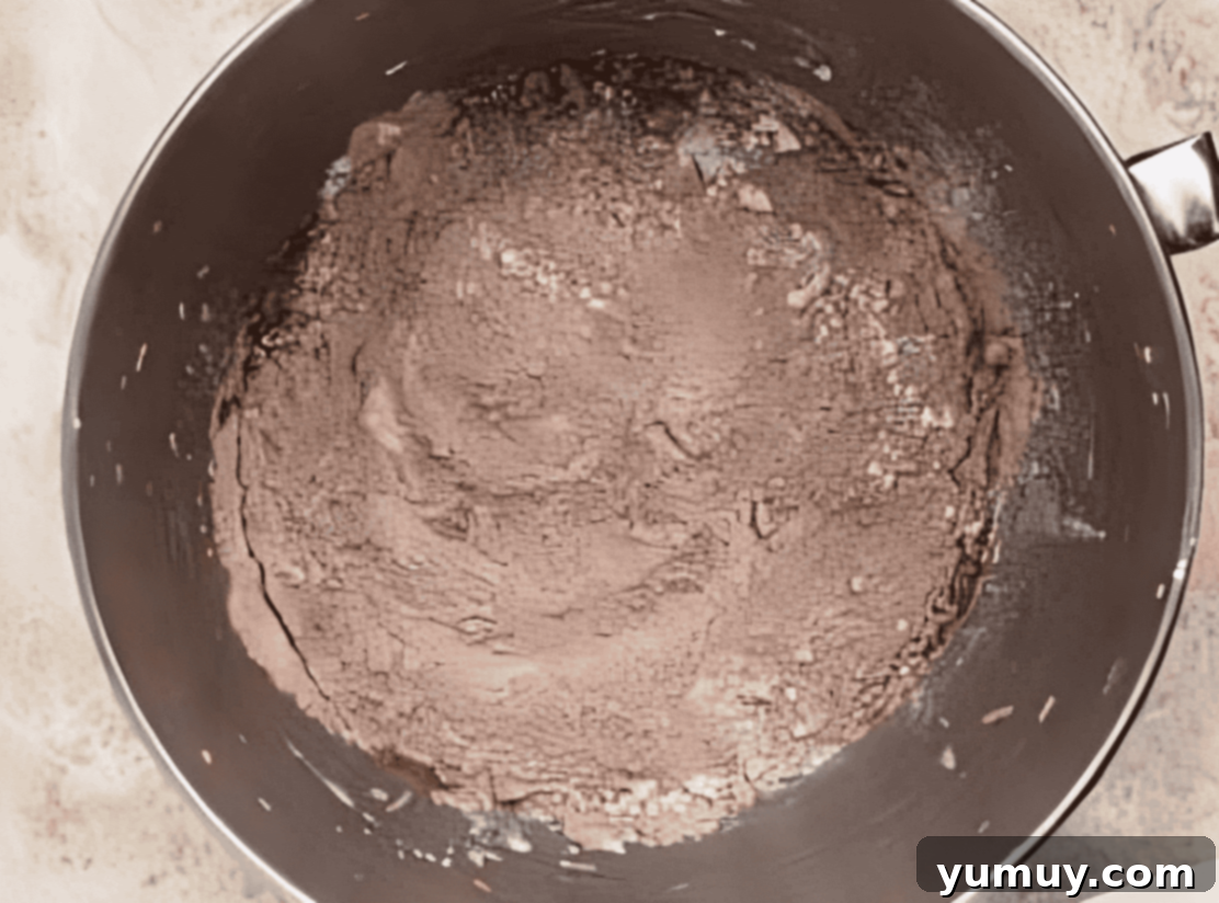 Decadent Chocolate Zucchini Cupcakes 12 dry ingredients for chocolate cupcakes in a stainless mixing bowl.