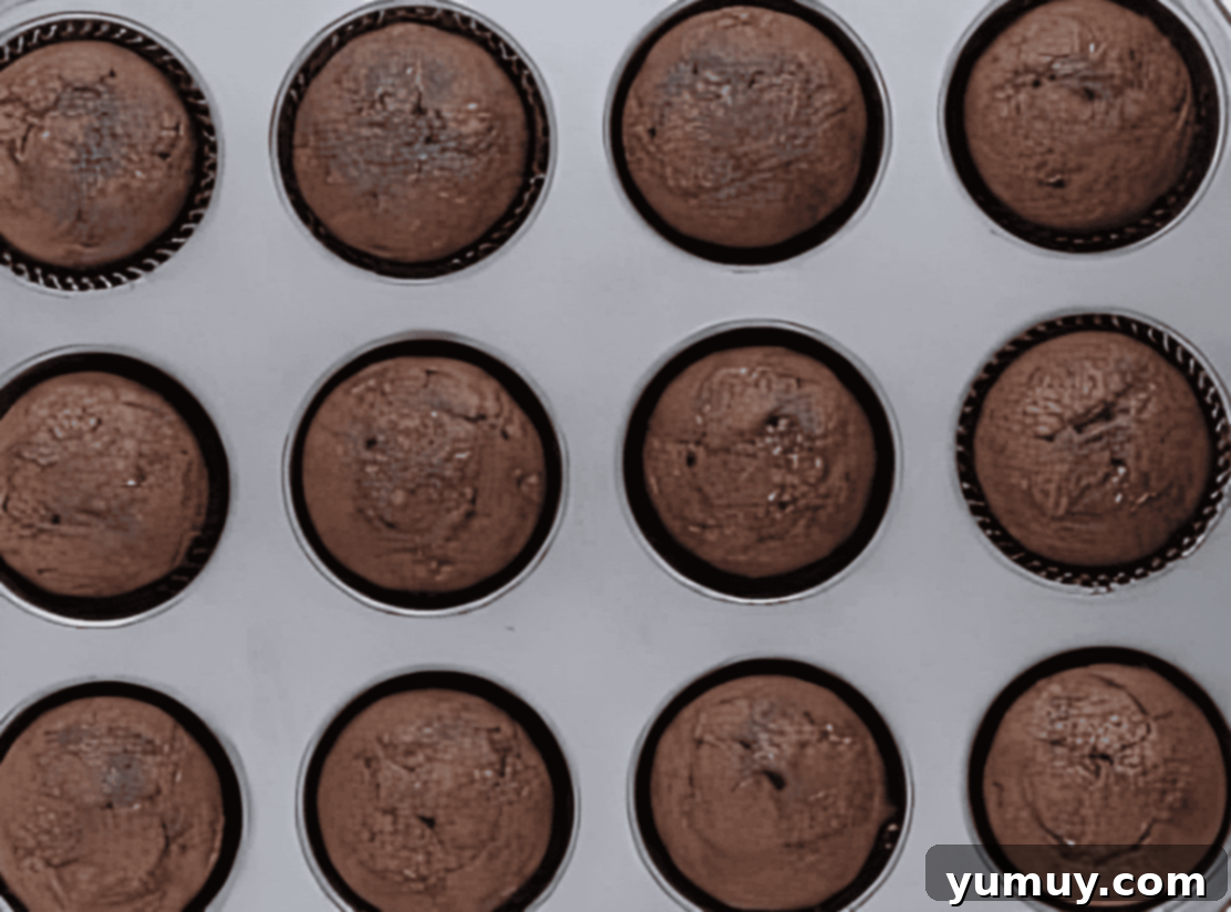Decadent Chocolate Zucchini Cupcakes 15 baked chocolate cupcakes in a cupcake pan.