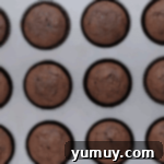 Decadent Chocolate Zucchini Cupcakes 9 baked chocolate cupcakes in a cupcake pan.