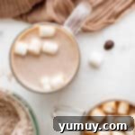 overhead view of prepared homemade hot chocolate in a glass mug with marshmallows.