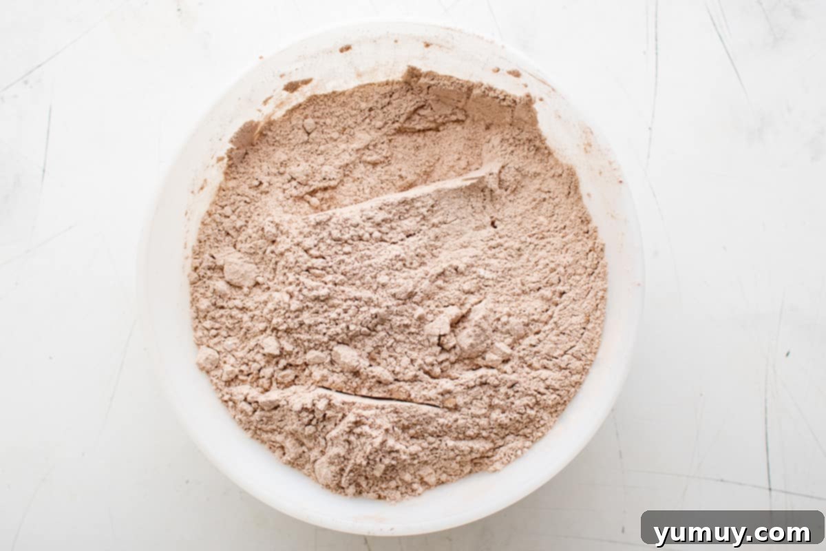 overhead view of homemade hot chocolate mix being whisked in a white bowl, showing the combined dry ingredients.