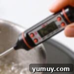 a candy thermometer reads "240.4°F" on the digital display.