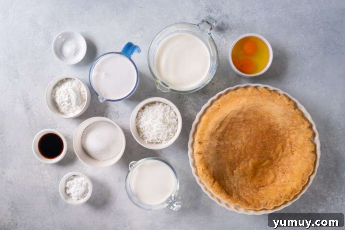 Creamy Coconut Bliss 11 coconut cream pie ingredients