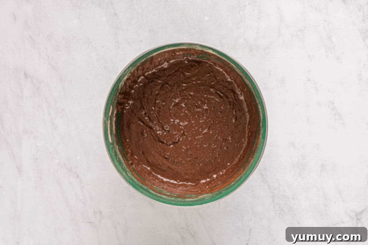 chocolate cake batter in a bowl