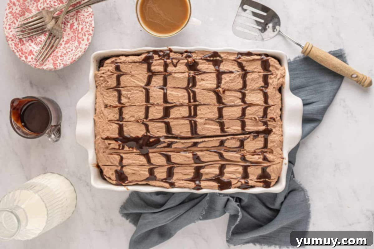 overhead view of chocolate tres leches cake.