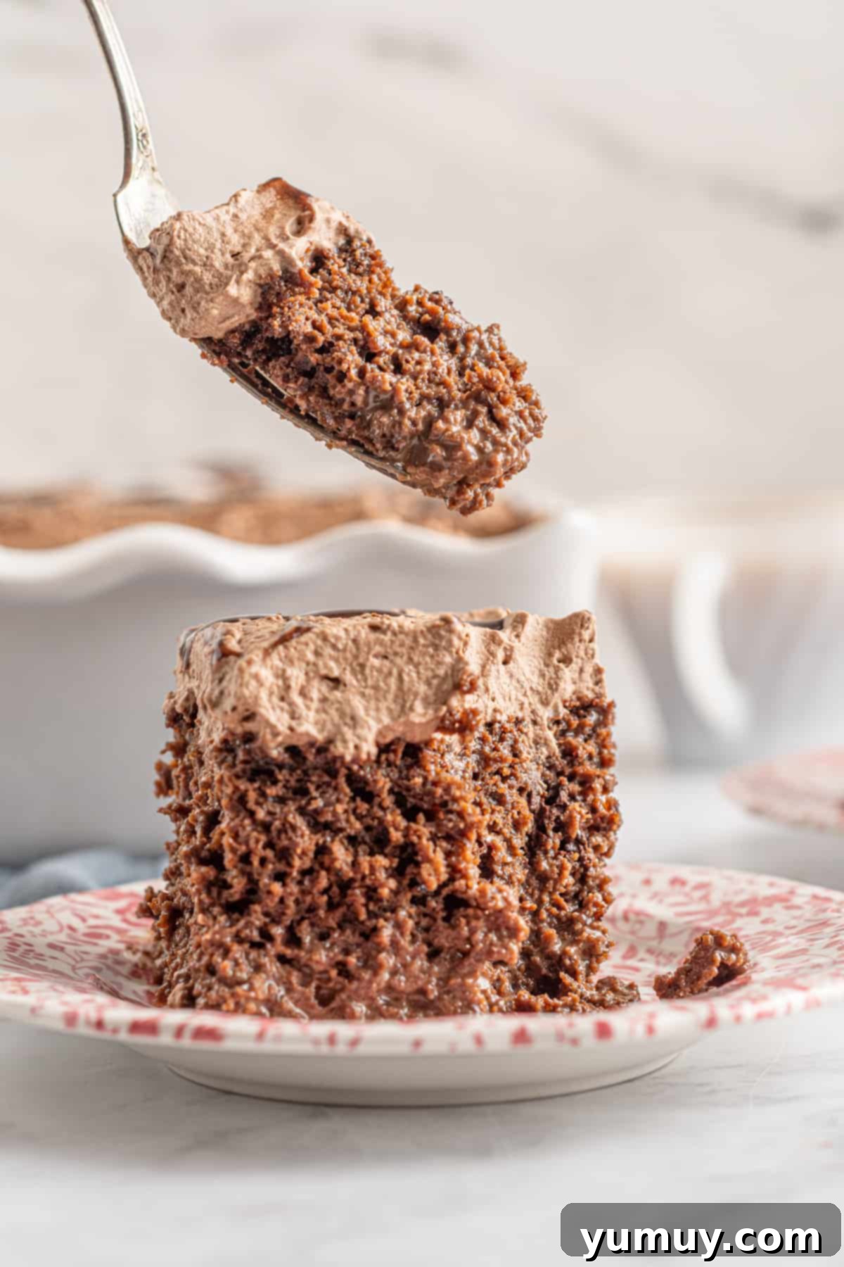 chocolate tres leches cake