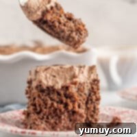 chocolate tres leches cake