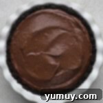 Pie filled with chocolate pudding.