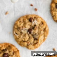 cowboy cookies, a close-up of the delicious texture