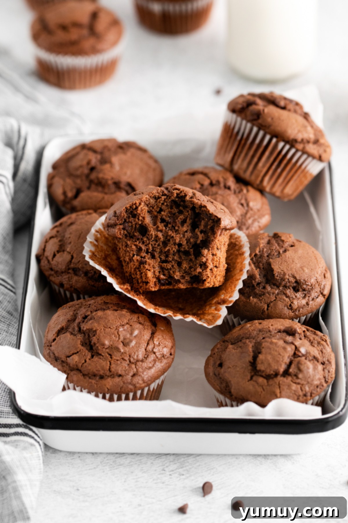 double chocolate muffins in a serving tray, showcasing their rich color and chocolate chips