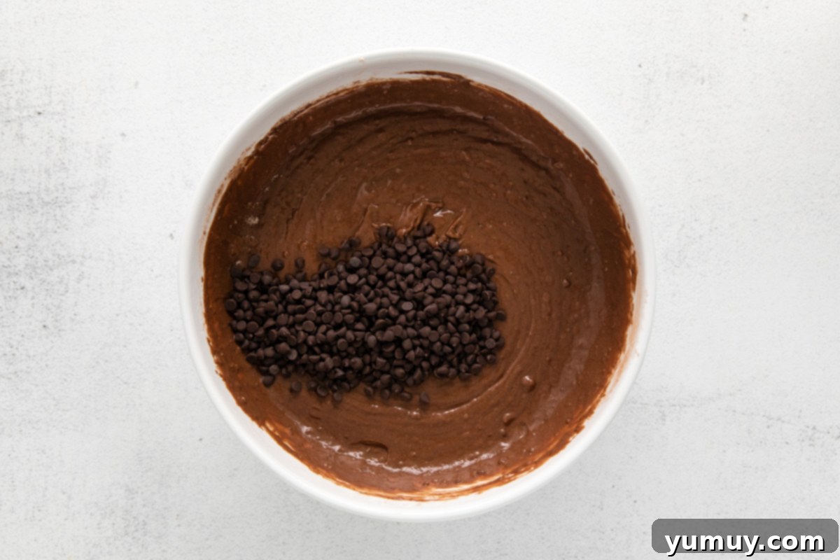 A close-up of a hand gently mixing mini chocolate chips into the dark chocolate muffin batter.