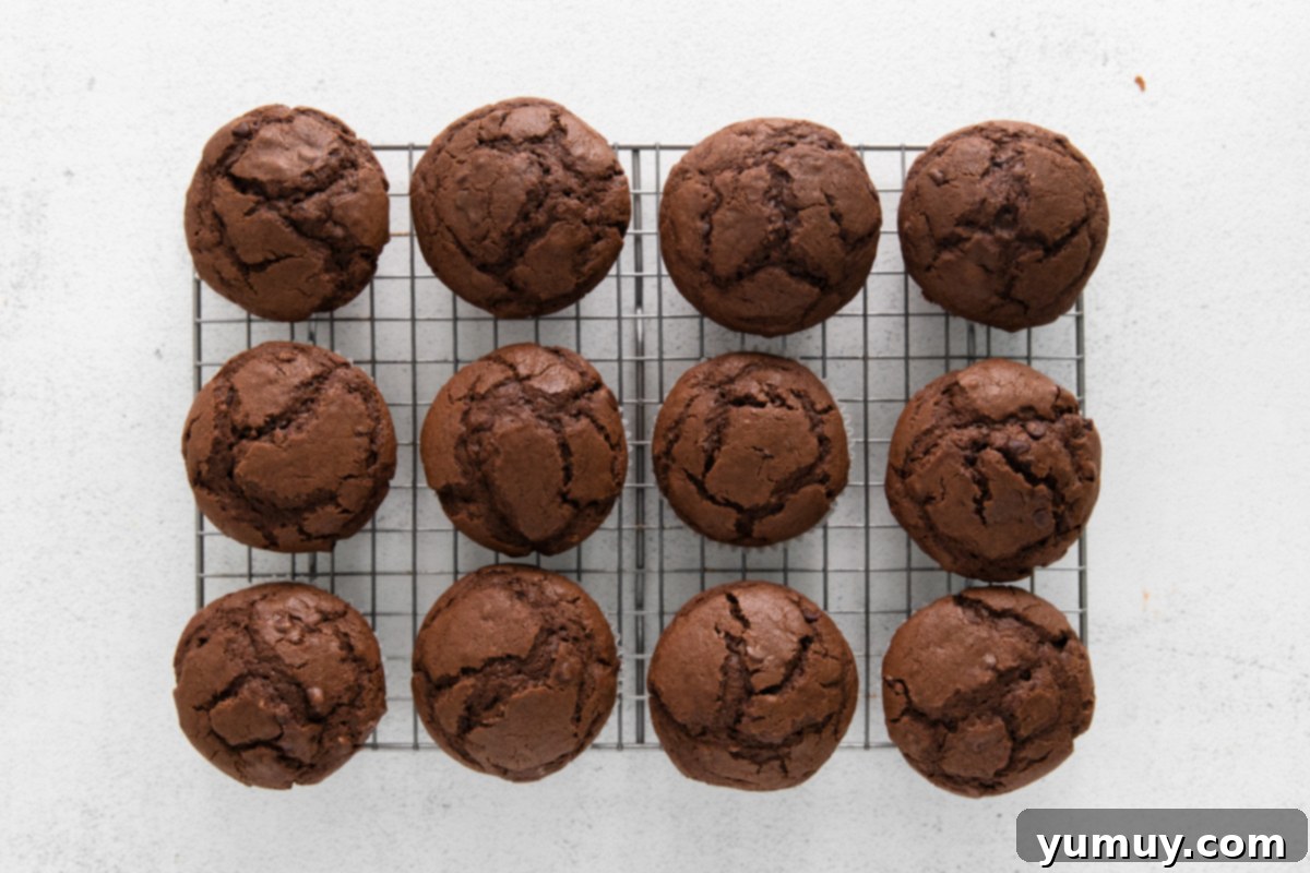 Freshly baked double chocolate muffins cooling on a wire rack.