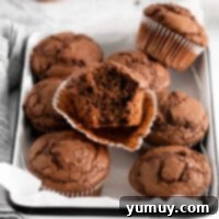double chocolate muffins, golden brown with melted chocolate chips on top