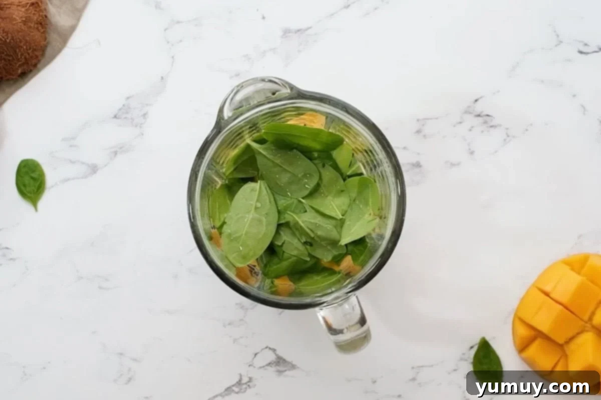 Overhead view of all ingredients for an island green tropical smoothie carefully placed in a blender before blending begins.