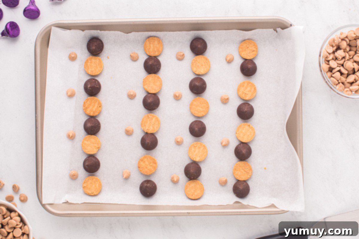 Ingredient pieces arranged on a baking tray for acorn cookies