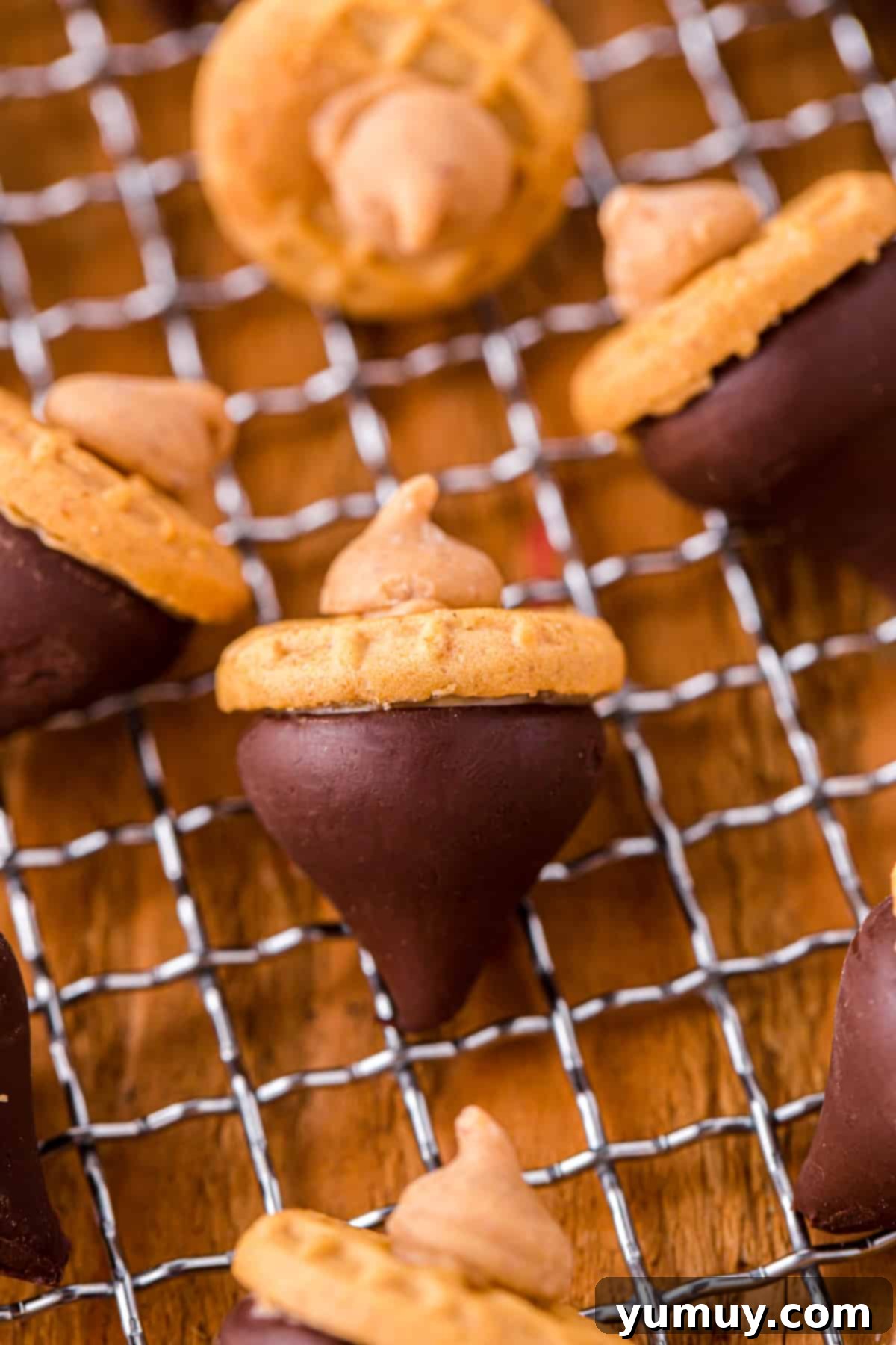 Close up on an acorn cookie, featuring a Hershey's Kiss and Nutter Butter base