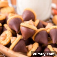 Close up on acorn cookies